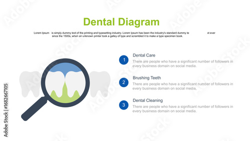 Dental Diagram Overview of Dental Procedures