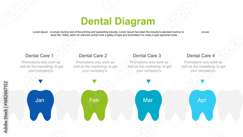 Dental Diagram Overview of Dental Procedures