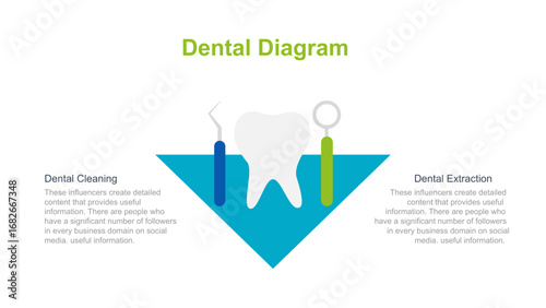 Dental Diagram Overview of Dental Procedures