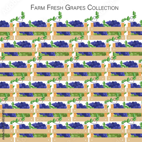Farm fresh grapes collection in wooden crates. Seamless fruit basket pattern with purple and green grapes, organic harvest, vineyard produce, healthy food, eco-friendly farming vector illustration.