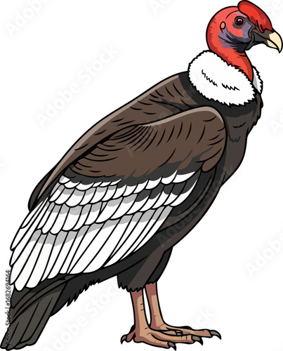 majestic andean condor a powerful symbol of the andes untamed beauty, isolated on transparent background