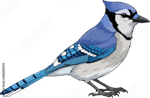 majestic blue jay a symbol of freedom, serenity, and wild beauty, isolated on transparent background