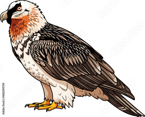 majestic lammergeyer wild alpine bird, powerful wings, stony gaze, mountain majesty, natures apex predator, isolated on transparent background