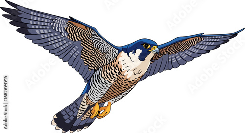 majestic peregrine falcon in flight a symbol of freedom and power, isolated on transparent background