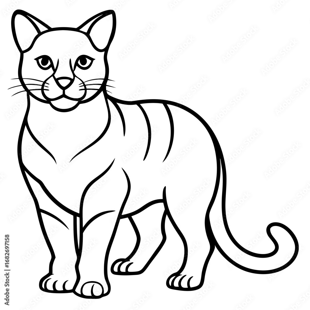 Obraz premium Cat line Art vector 