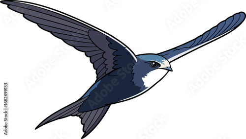 a majestic swift in flight dynamic illustration of a birds effortless grace, isolated on transparent background
