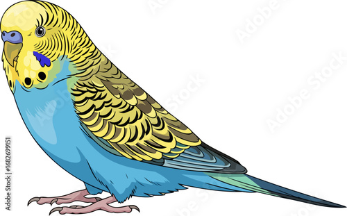 a vibrant budgie portrait detailed illustration of a happy, yellow and blue parakeet, isolated on transparent background