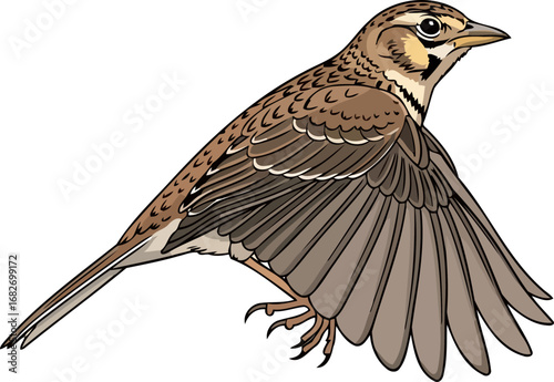 a stunning skylarks graceful ascent wings unfurled, taking flight, isolated on transparent background