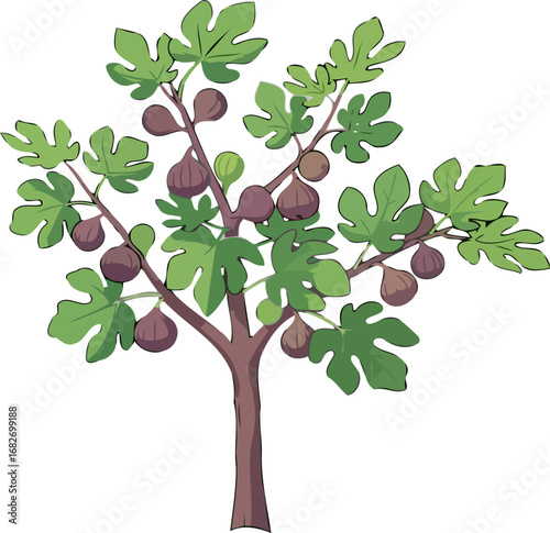 abundant harvest a lush fig tree in summers golden light, isolated on transparent background