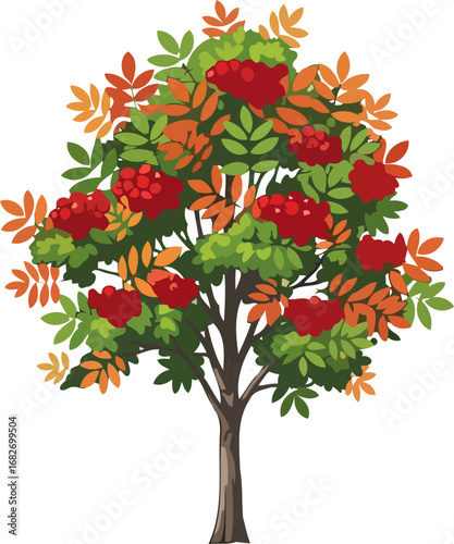 autumn rowan tree a vibrant jewel of the fall season, boasting abundant red berries and colorful foliage, isolated on transparent background