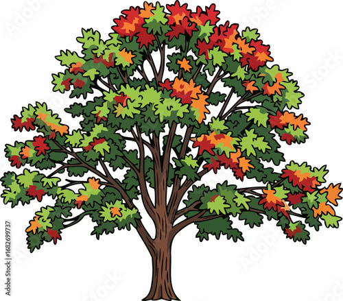 autumnal tree illustration vibrant fall foliage, colorful nature artwork, isolated on transparent background