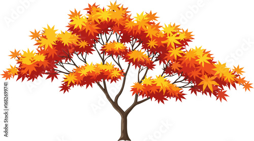 autumns fiery embrace a japanese maple tree in vivid fall colors, isolated on transparent background