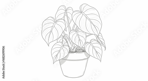 Aesthetic drawing of a philodendron plant in a minimalist style pot