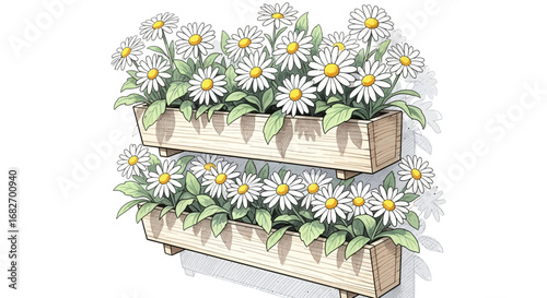 Charming illustration capturing daisy flowers in tiered wooden planters