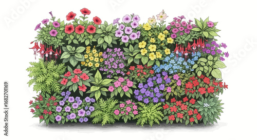 Colorful garden with various flowering plants illustration, in full bloom