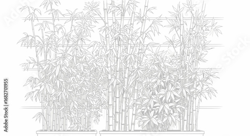 Elegant bamboo grove illustration with grayscale simplicity and fine linework