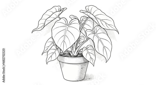 Elegant hand drawn illustration of a potted elephant ear plant artwork