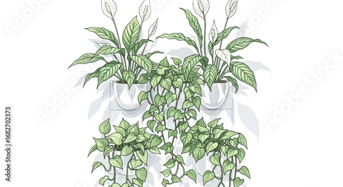 Elegant indoor foliage display featuring peace lilies and pothos plants
