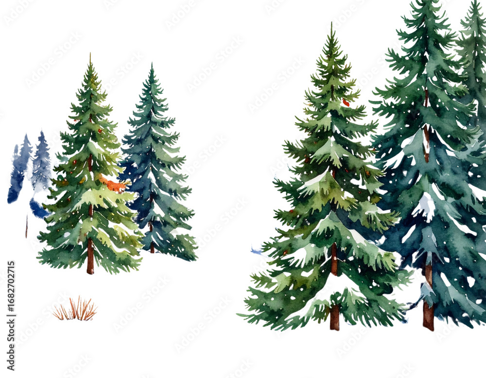 Fototapeta premium Watercolor Winter Christmas Trees with Snowy Ground, Isolated on White