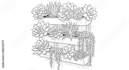 Elegant monochrome succulent vertical garden illustration for modern decor