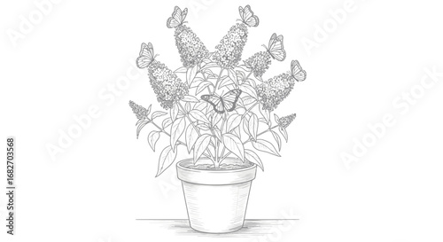 Hand-drawn butterfly bush with fluttering butterflies in a pot illustration