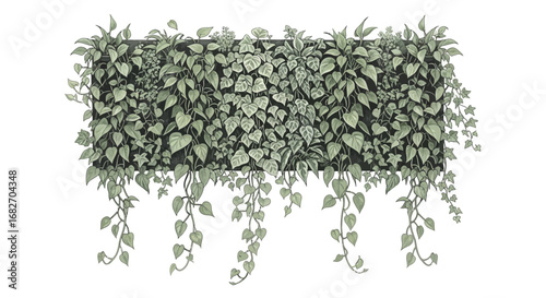 Luscious green plants overflowing a horizontal container for decoration