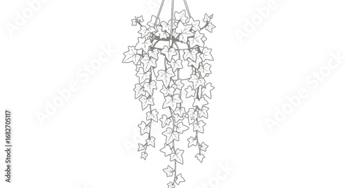 Monochrome hanging plant illustration with delicate cascading leaves