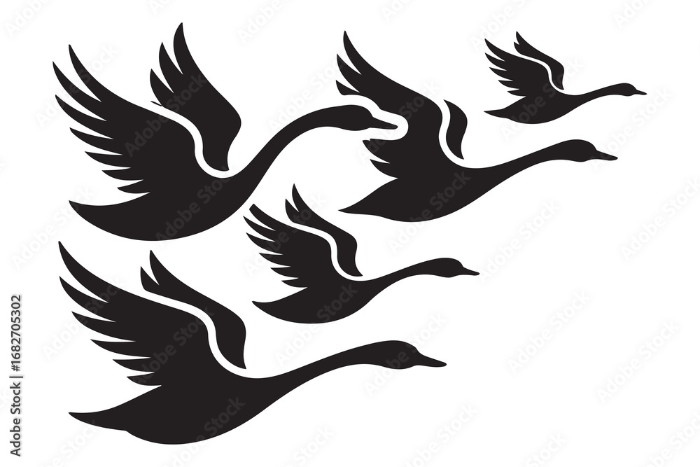 Obraz premium Set of Swan Silhouette, Flying Birds. Vector black silhouette. with white background
