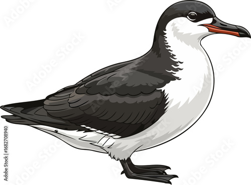 elegant blacklegged kittiwake a coastal birds graceful profile, wildlife illustration, isolated on transparent background