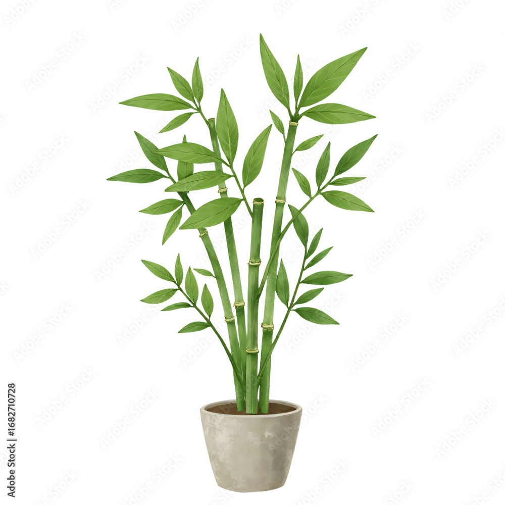 Fototapeta premium Flat botanical illustration of a single bamboo plant in pot isolated on white background with no shadow