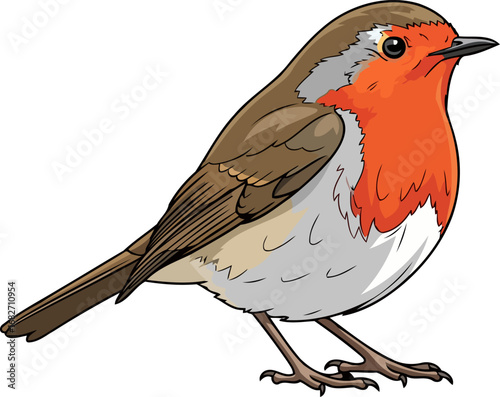 european robin bird a detailed illustration of natures cheerful songbird, isolated on transparent background