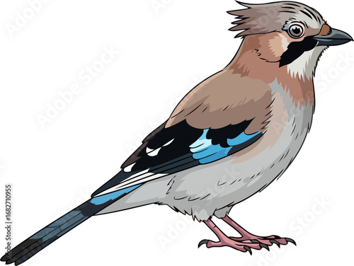 eurasian jay bird detailed illustration of wild birds majestic pose, isolated on transparent background