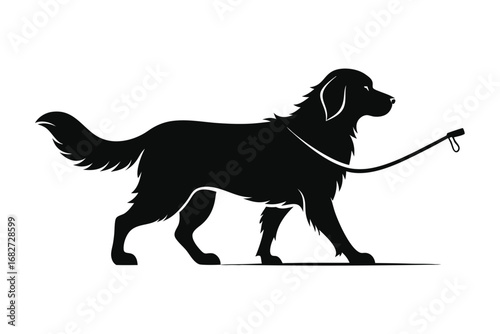 Black Silhouette of a Golden Retriever Walking with Leash on White Background