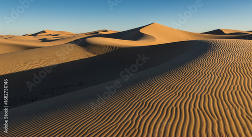 sand dunes in the sahara