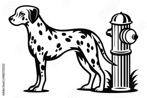 Dalmatian Dog Standing Beside Fire Hydrant on a White Background