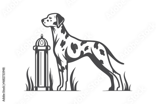 Dalmatian Dog Standing by Fire Hydrant, Monochrome on White Background