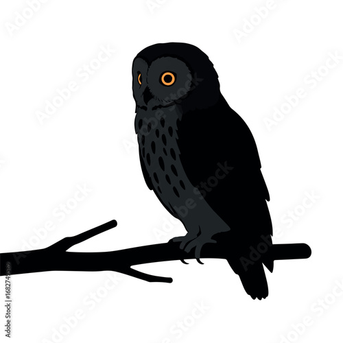 A wise owl, depicted as a striking black silhouette, perches serenely on a branch in a minimalist 2D flat vector illustration with clean lines on a pure white background.