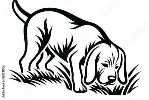 Beagle dog intently sniffs through tall grass in black and white