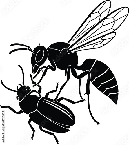 A wasp attacking a beetle, depicting a fierce battle in insect world, a struggle for survival