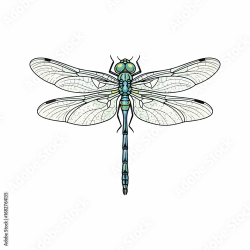 Illustration of a dragonfly with translucent wings, a blue and green body, and large, multifaceted eyes, isolated on a white background.
