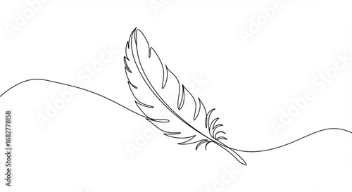 Elegant feather drawing with wavy line
