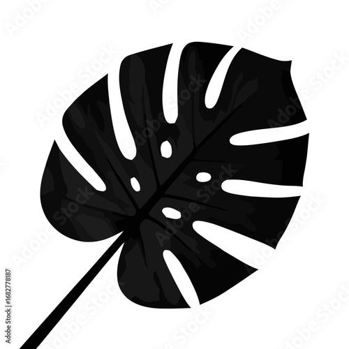 Vector art of monstera leaf, a tropical plant with unique split leaves in black and white, close up