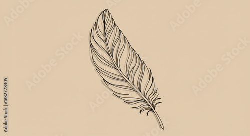 Elegant feather illustration with fine line art isolated on beige background