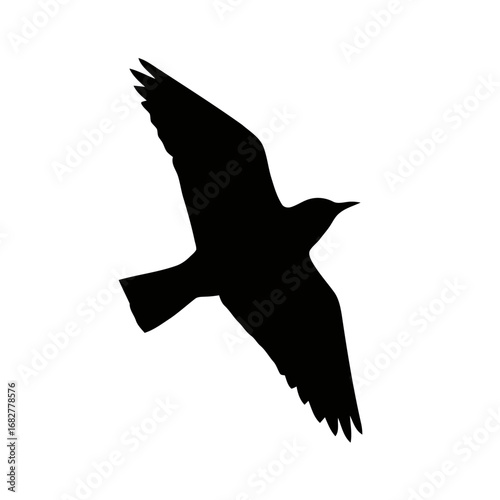 Vector art of dramatic silhouette of bird in flight, , capturing the essence of freedom and natural grace