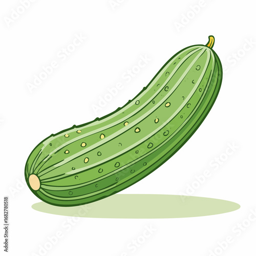 fresh organic cucumber isolated clipping path