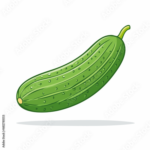 fresh organic cucumber isolated clipping path