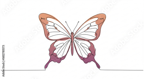 Colorful butterfly illustration with delicate wings