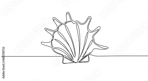 Minimalist seashell line art