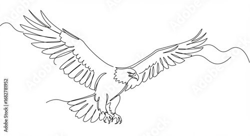 Elegant eagle drawing with outstretched wings
