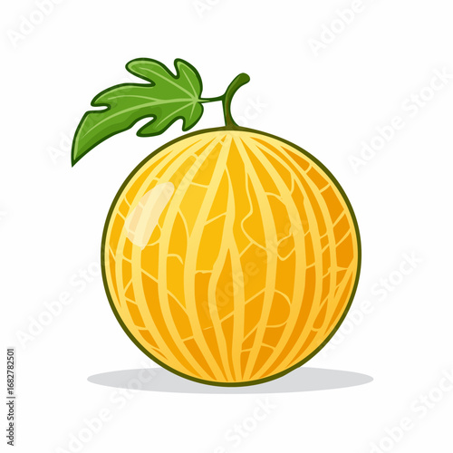 melon isolated white background taste melon with leaf full depth field with clipping p,vector svg